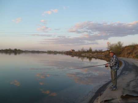 Первая пошла
