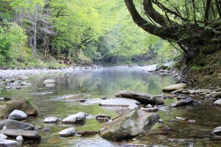 Первые весенние голавлики