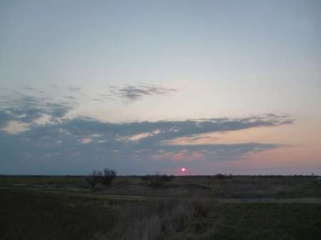 Первый в жизни линь Первый в жизни линь