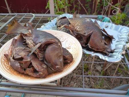 Первый в жизни линь Первый в жизни линь