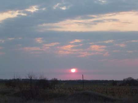 Первый в жизни линь Первый в жизни линь