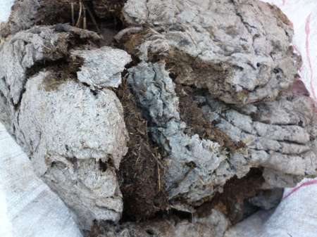 Первый в жизни линь Первый в жизни линь