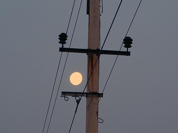 Про судаков, ветер и Остров Невезения