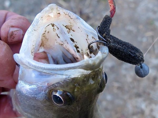 Про судаков, ветер и Остров Невезения