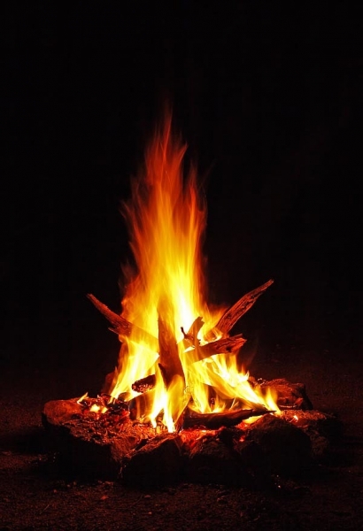 Прощай тайга