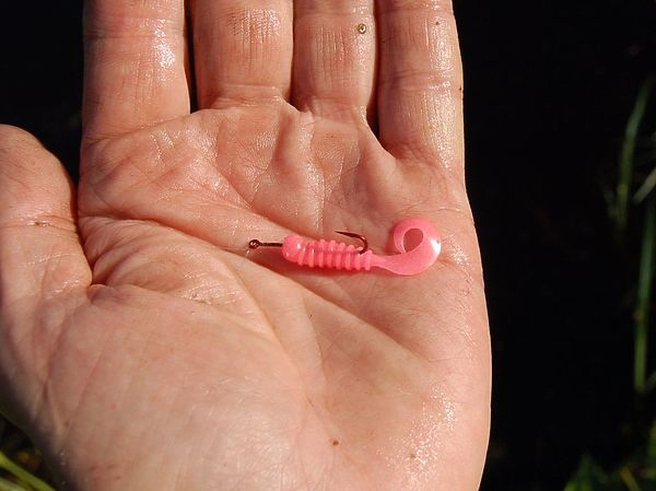 С форелевой снастью за ротаном С форелевой снастью за ротаном