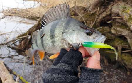 Силиконовые приманки яркого цвета
