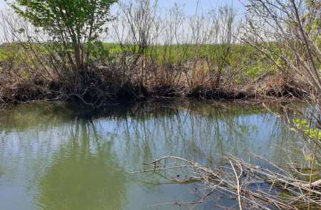 Скрытно... Тихо... На рыбалку - как партизан. Скрытно... Тихо... На рыбалку - как партизан.