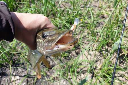 Скрытно... Тихо... На рыбалку - как партизан. Скрытно... Тихо... На рыбалку - как партизан.