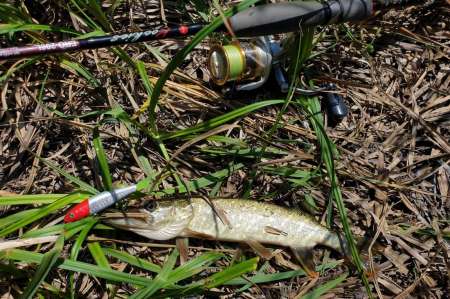Скрытно... Тихо... На рыбалку - как партизан. Скрытно... Тихо... На рыбалку - как партизан.