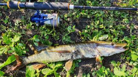 Слаг, переловивший много рыбы