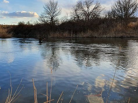 В Ростовской области начался сезон ловли голавля нахлыстом В Ростовской области начался сезон ловли голавля нахлыстом