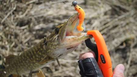 Весенняя щука на джиг 2020 Весенняя щука на джиг 2020