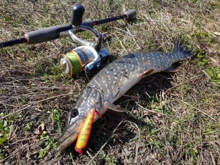 Весна и поппер Весна и поппер