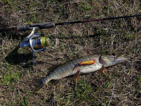 Весна и поппер Весна и поппер