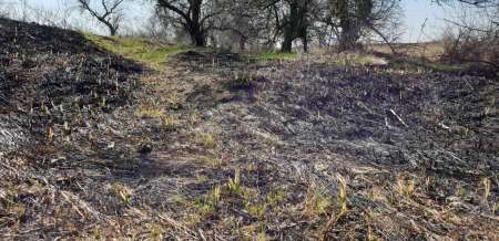 Весна и поппер Весна и поппер