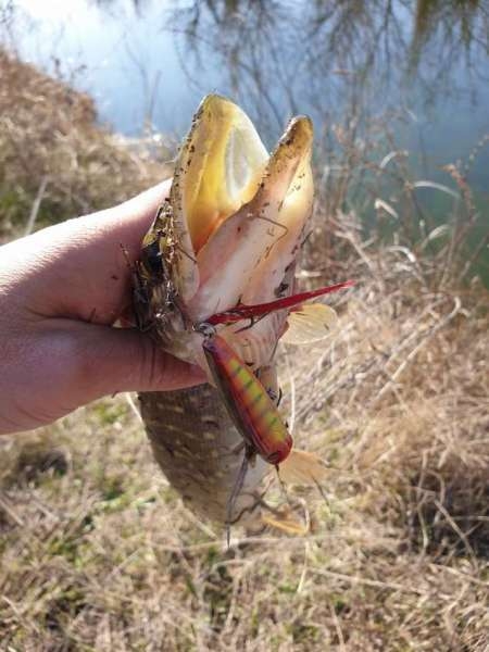 Весна и поппер Весна и поппер