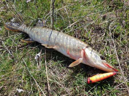 Весна и поппер Весна и поппер