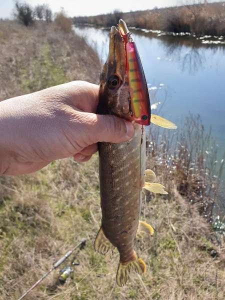 Весна и поппер Весна и поппер