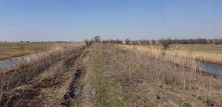 Весна и поппер Весна и поппер