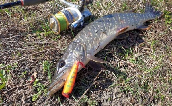 Весна и поппер Весна и поппер