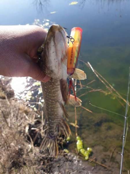 Весна и поппер Весна и поппер