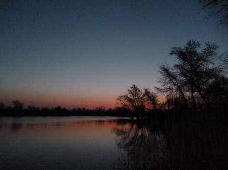 Впервые на 15-й за карасем Впервые на 15-й за карасем