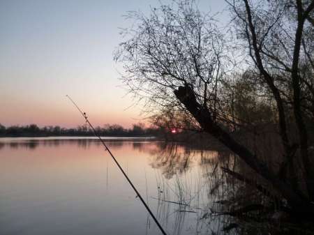 Впервые на 15-й за карасем Впервые на 15-й за карасем