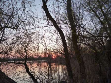 Впервые на 15-й за карасем Впервые на 15-й за карасем