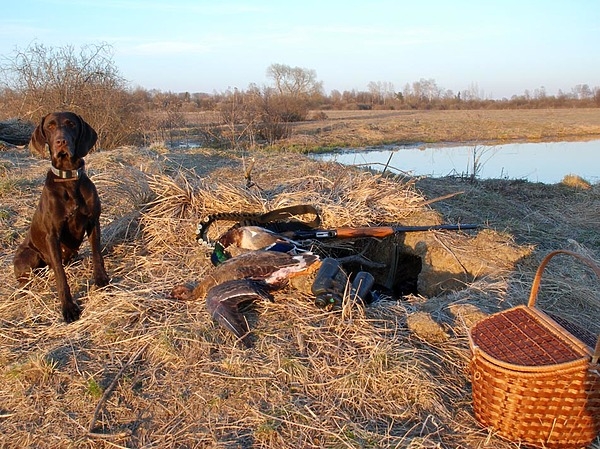 За белолобыми в день Победы