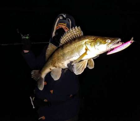 За ночным судаком на нижнюю Москву-реку! За ночным судаком на нижнюю Москву-реку!