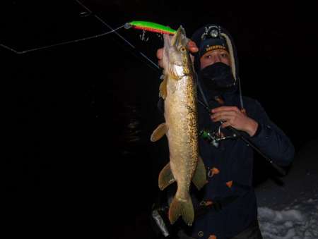 За ночным судаком на нижнюю Москву-реку! За ночным судаком на нижнюю Москву-реку!