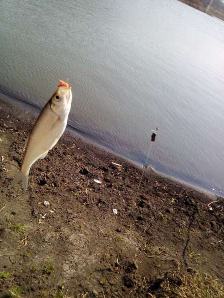 За уклейкой на пруд Агеевский За уклейкой на пруд Агеевский