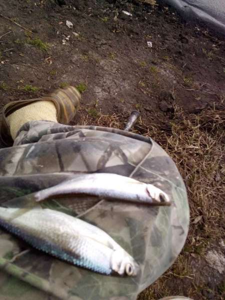 За уклейкой на пруд Агеевский За уклейкой на пруд Агеевский