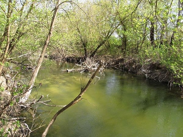 Абрикос отцвел – пора за голавлём