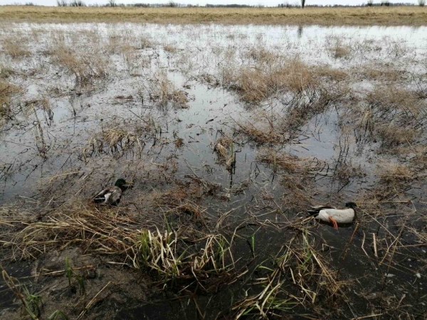Заимка! Второй выезд!