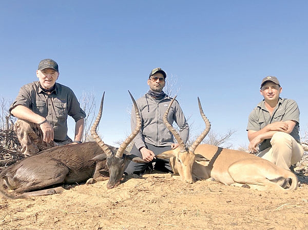 Что могут короли?