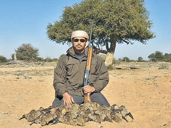 Что могут короли?