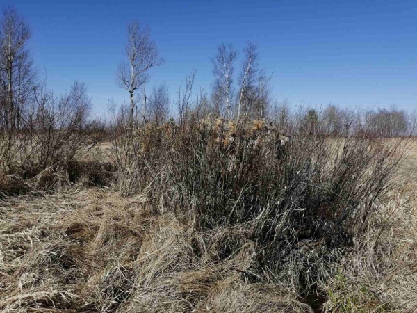 Заимка! Второй выезд!