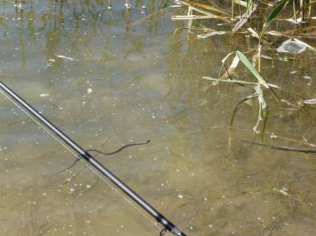 Досадный сход