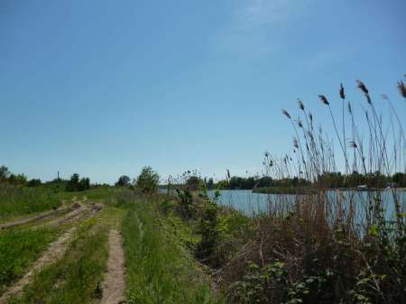 Досадный сход