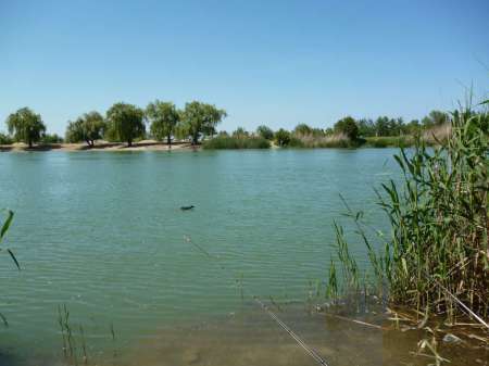 Досадный сход