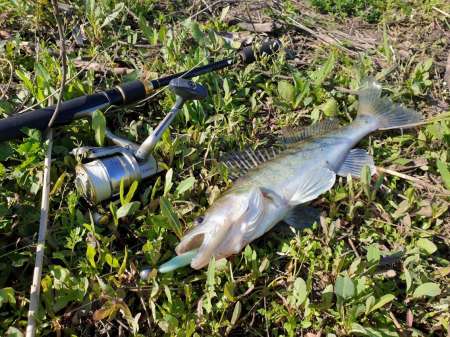 Джиг на глубоком карьере Джиг на глубоком карьере