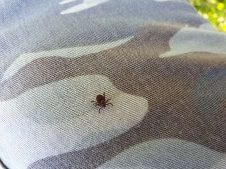 Джиг на глубоком карьере Джиг на глубоком карьере