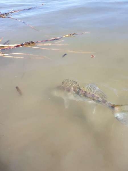 Джиг на глубоком карьере Джиг на глубоком карьере