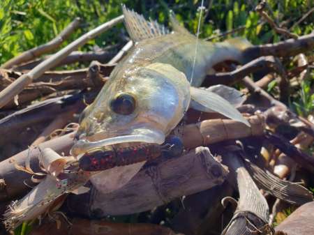 Джиг на глубоком карьере Джиг на глубоком карьере