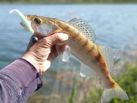 Джиг на глубоком карьере Джиг на глубоком карьере