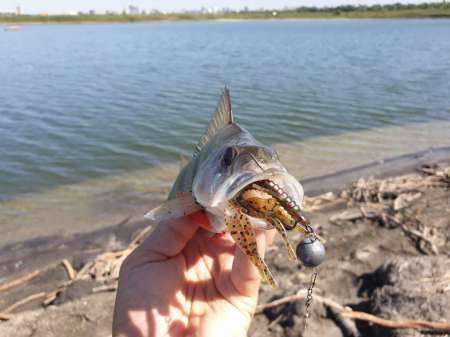 Джиг на глубоком карьере Джиг на глубоком карьере