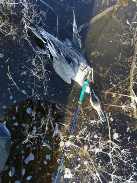 Заимка - Закрытие!!! Заимка - Закрытие!!!