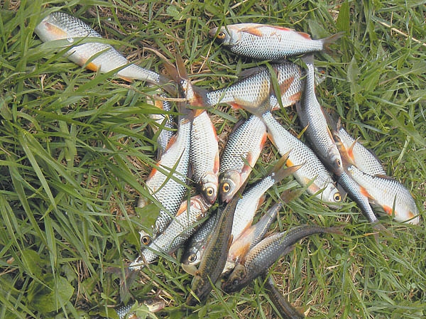 Где весной ждет удача?